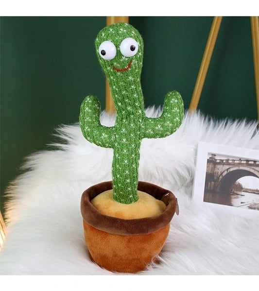 Homely Cactus